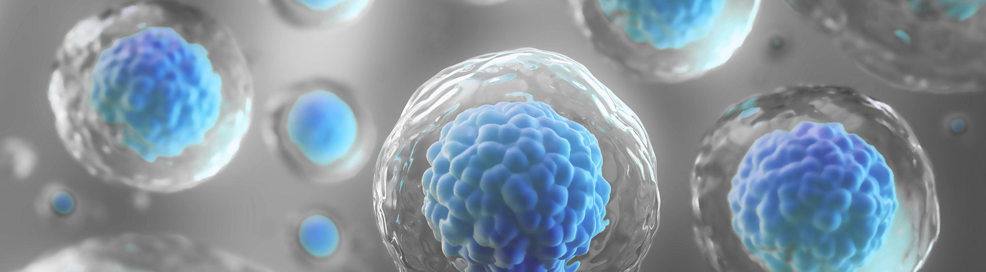 Regenerative Medicine